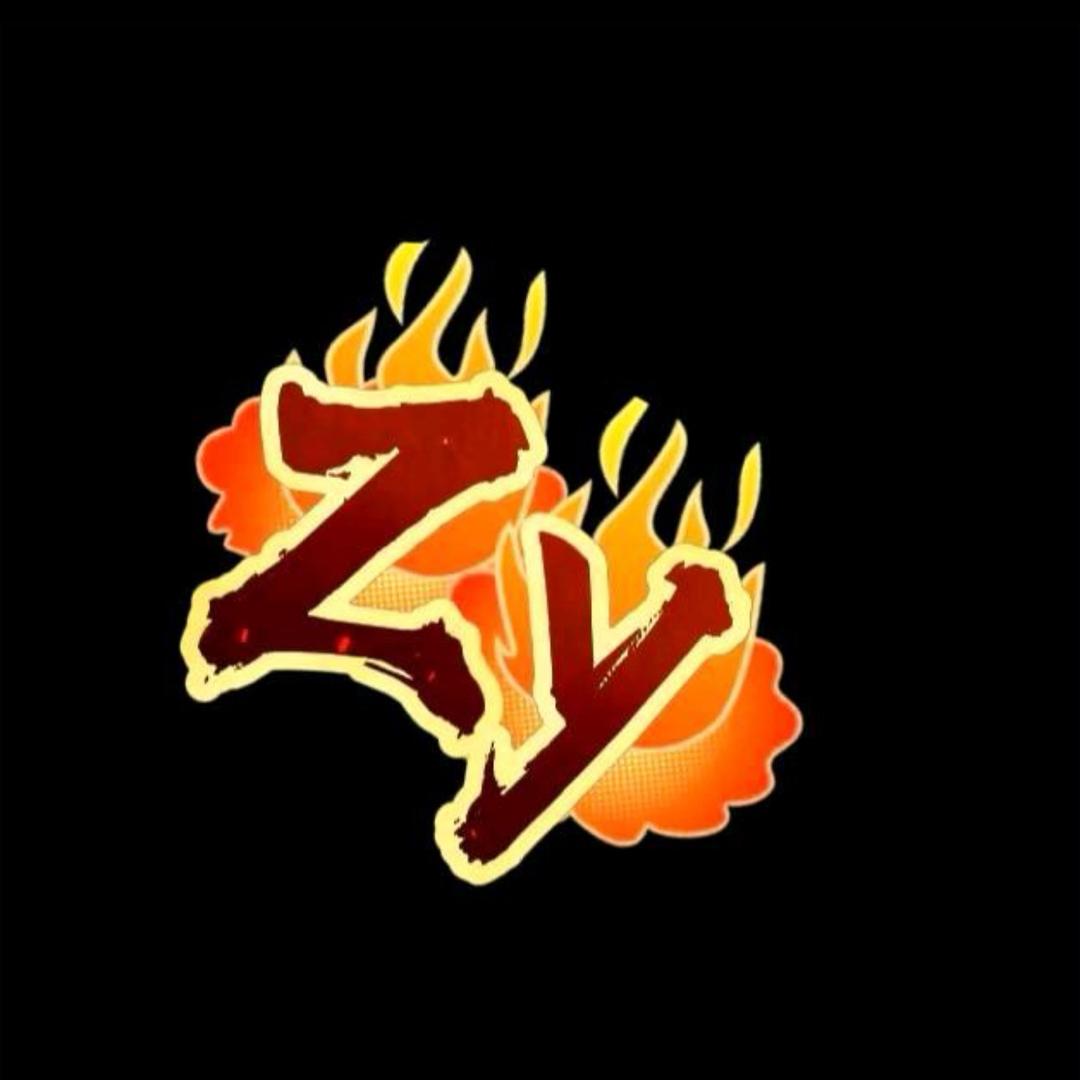 ZY-SSR