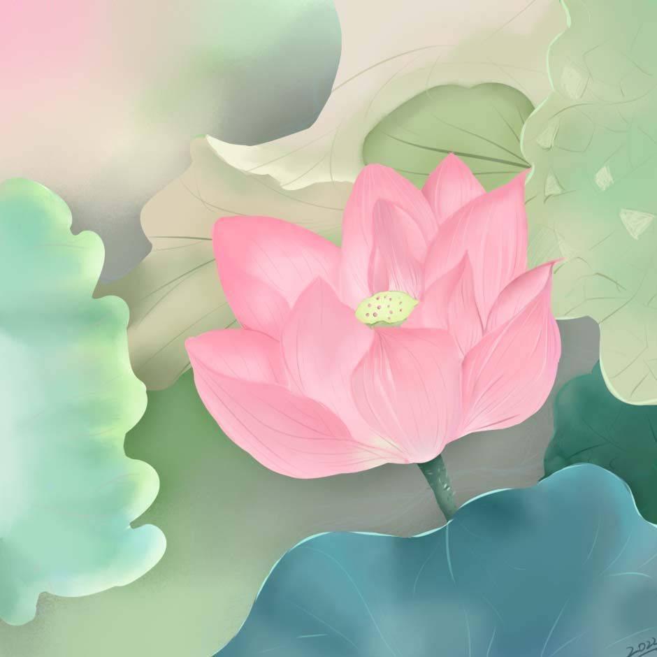 花花臻选