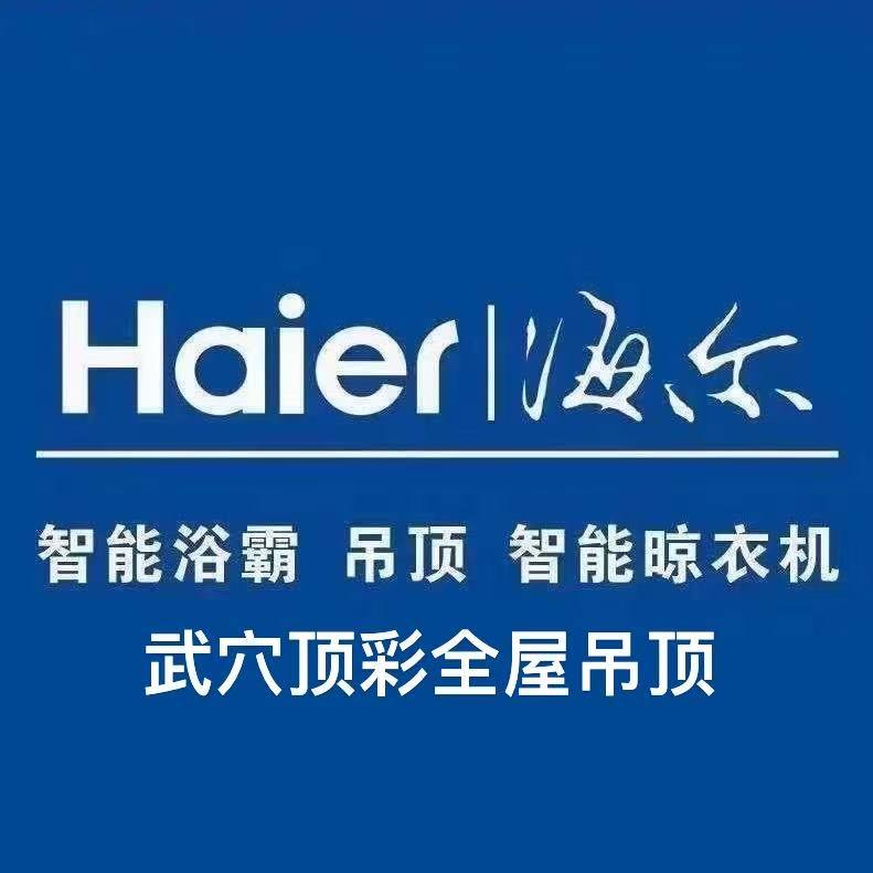 海尔智能浴霸吊顶(武穴店)