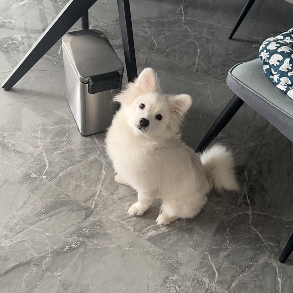 媛媛