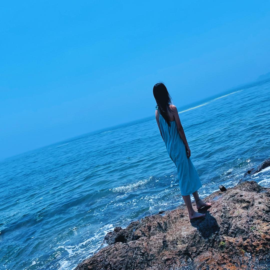 太阳🔜花