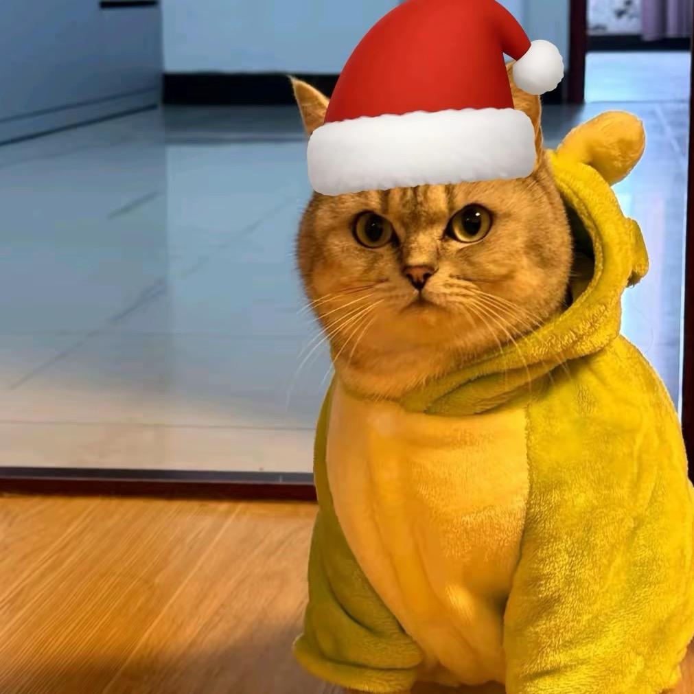 辛巴不是狮子王🦁