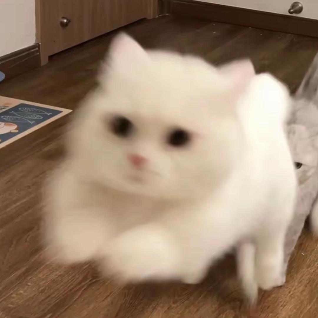 M ay