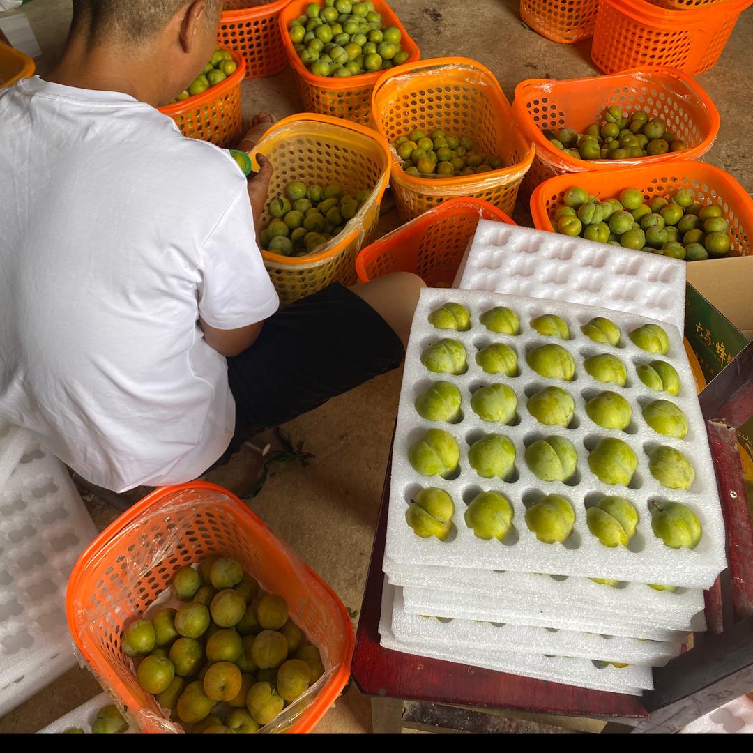 李李李子超甜（贵州六马镇）