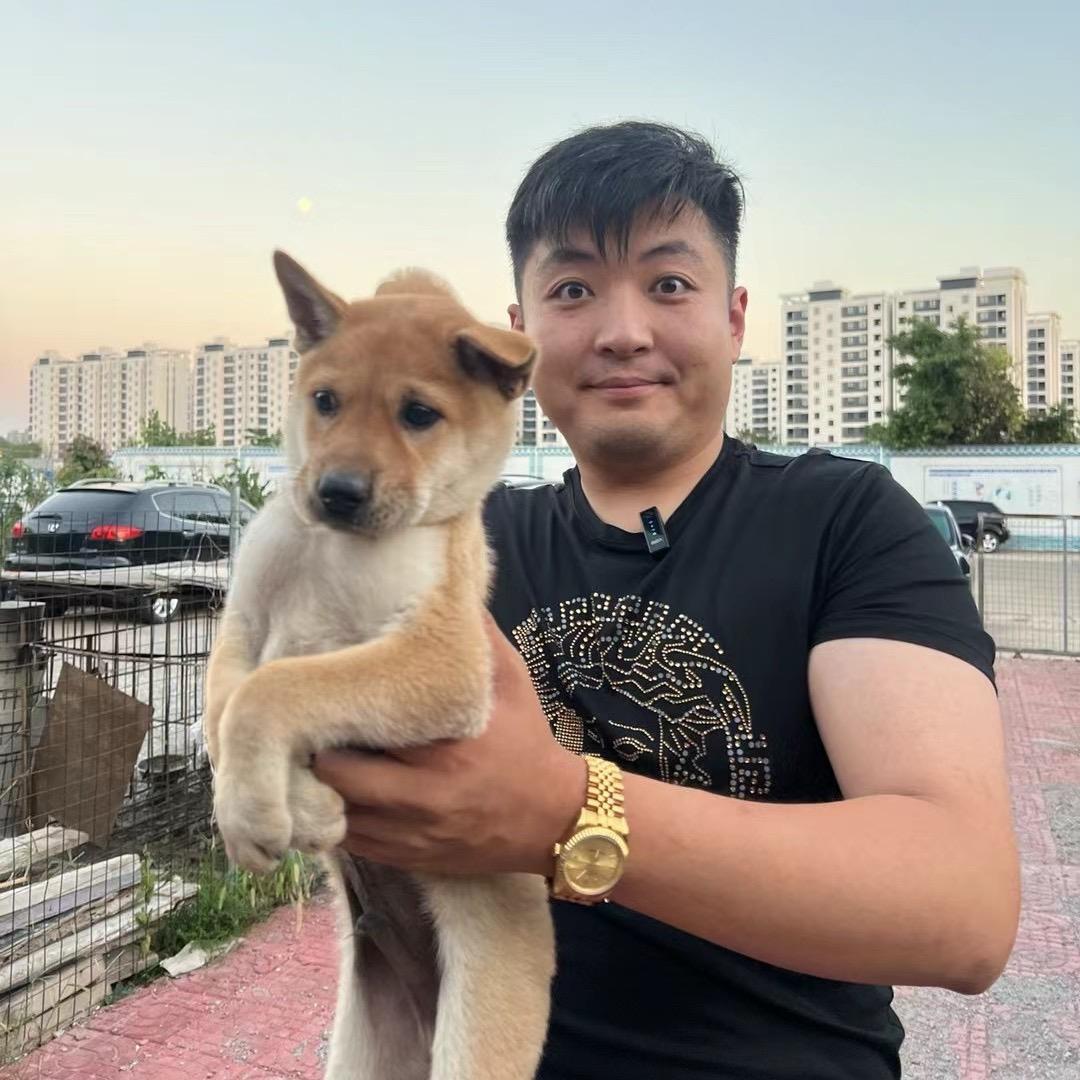 查德老师−专业选狗15年🏅