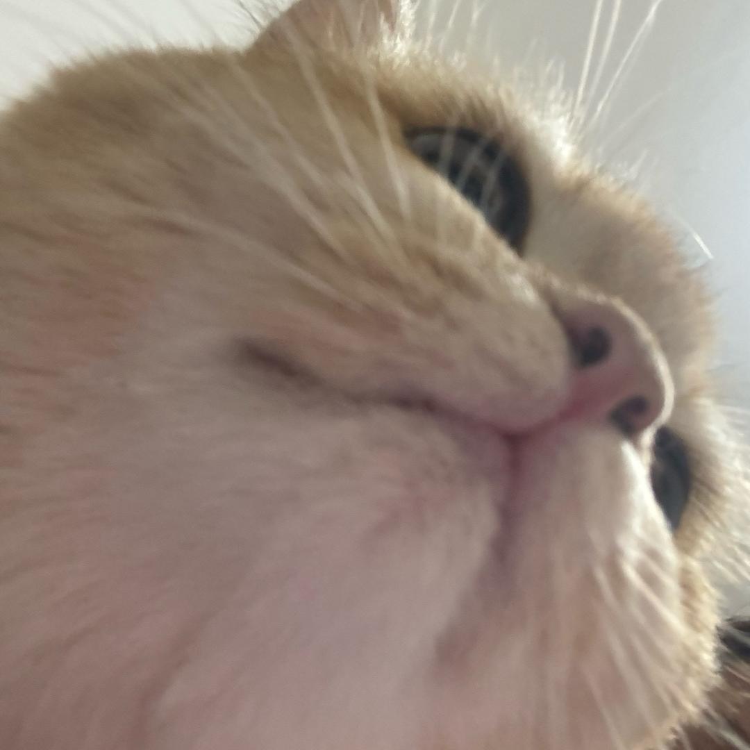 钱多多生活日记