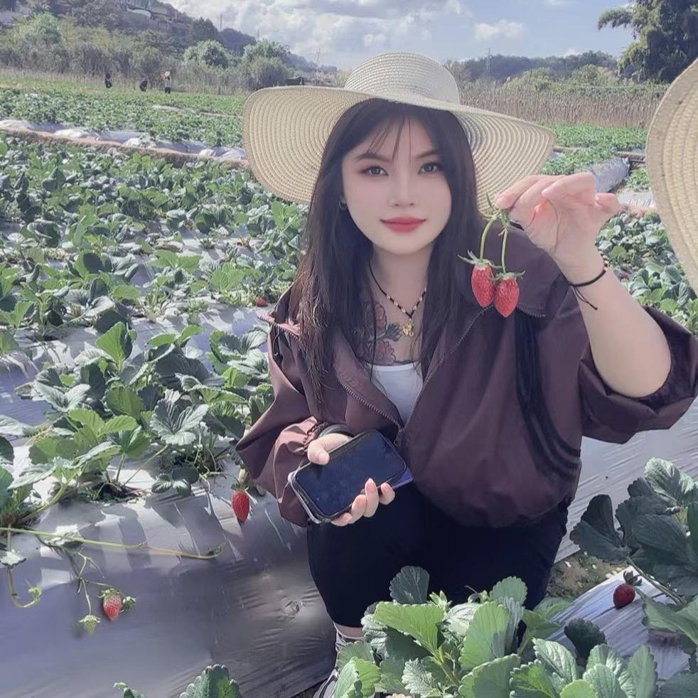 云南普洱一枝花🌸