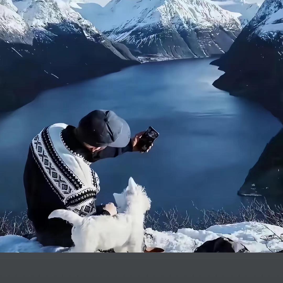 东禾（张鹏宇）