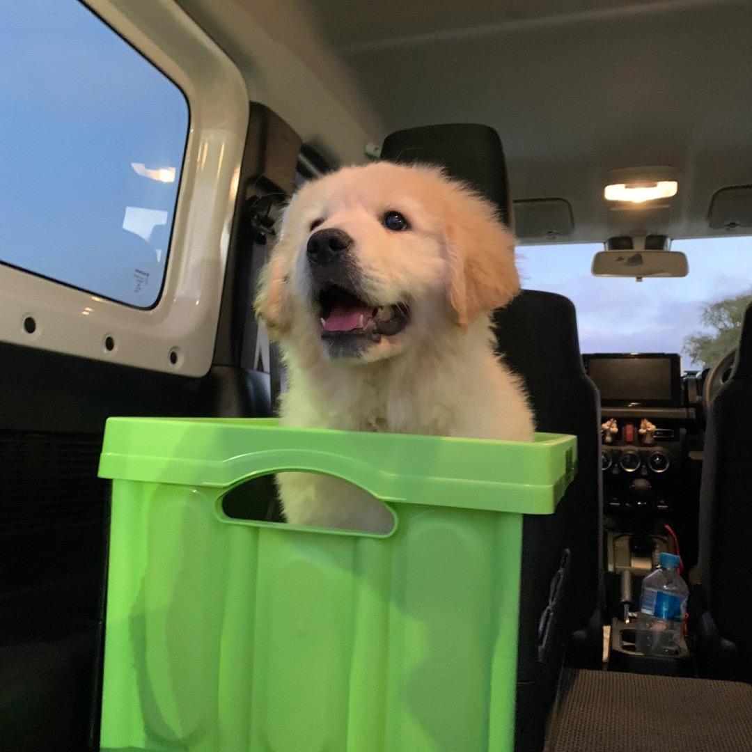 💪🏻游泳健身请找我