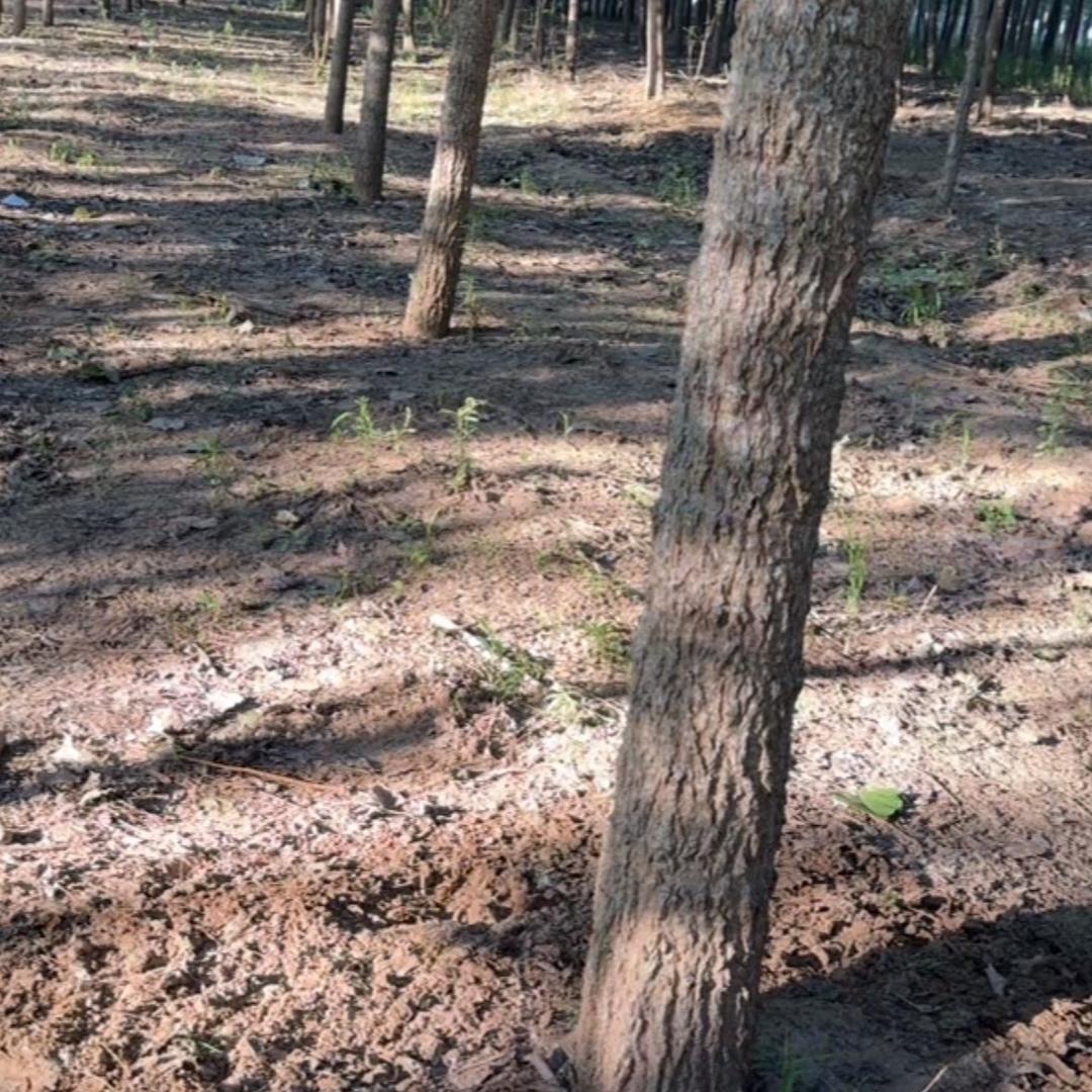 新.农场主👩‍🌾