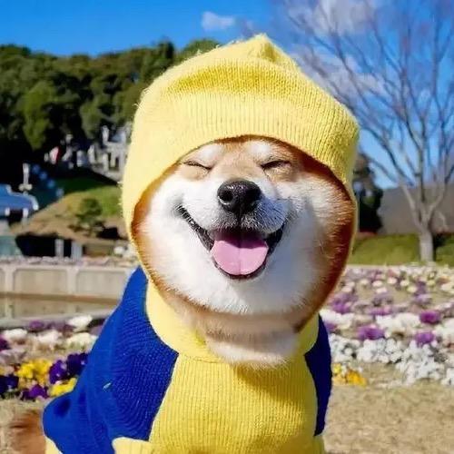 郭嘉偷了我 61 块