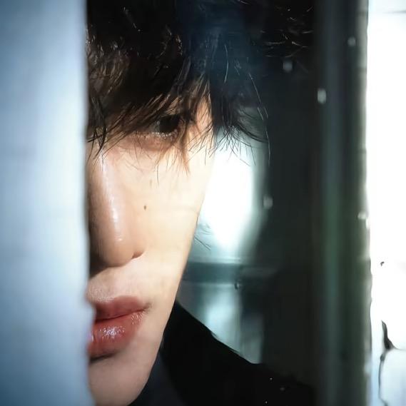 月亮代表哥的心