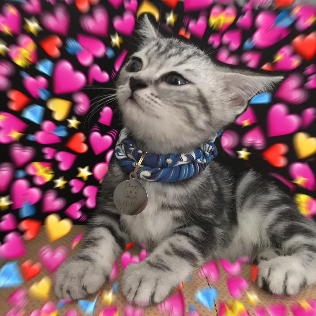 SkyeX