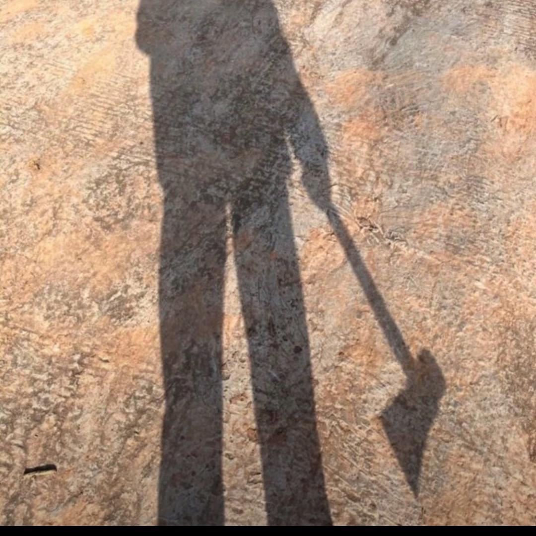 ﹌· 勇敢牛牛🐮·ᰔᩚ。