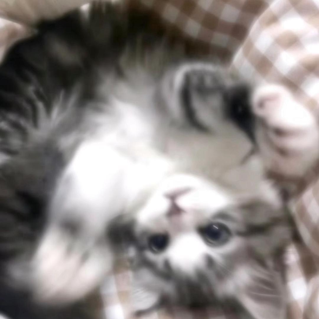 跳跳