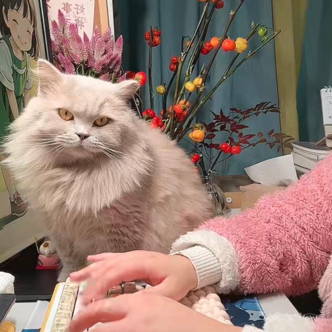 南知意