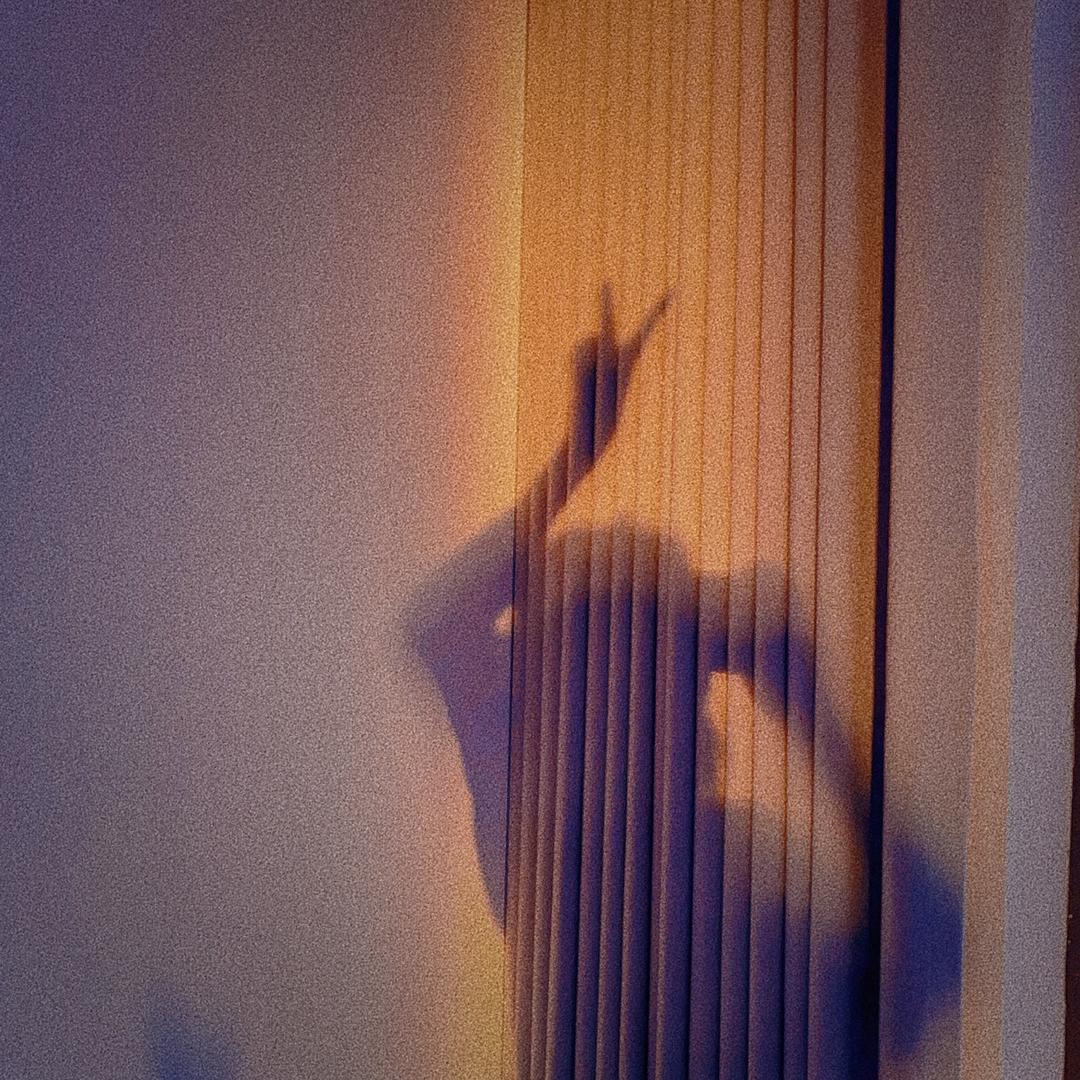 🔅大知闲闲