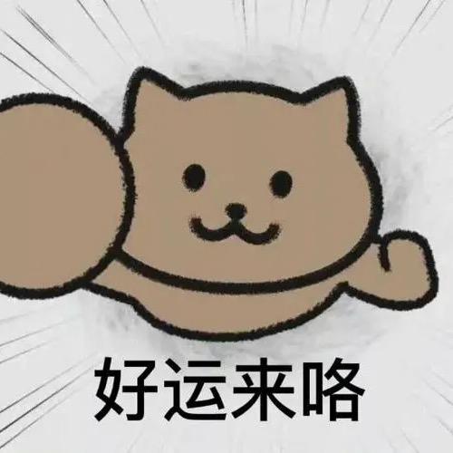 好运来看剧