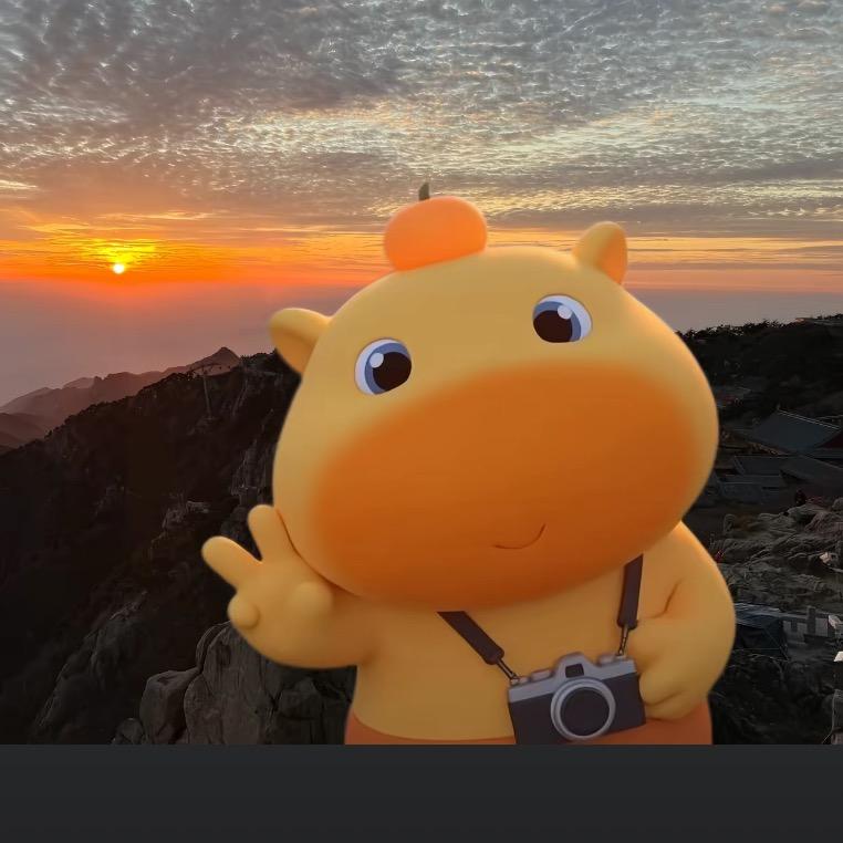 @小水豚噜噜⭕️