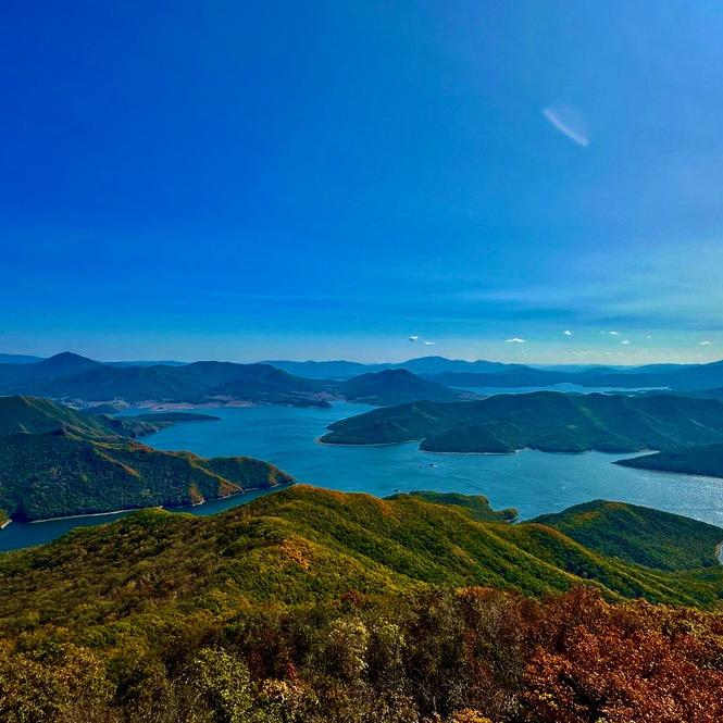 喜马拉雅山间草