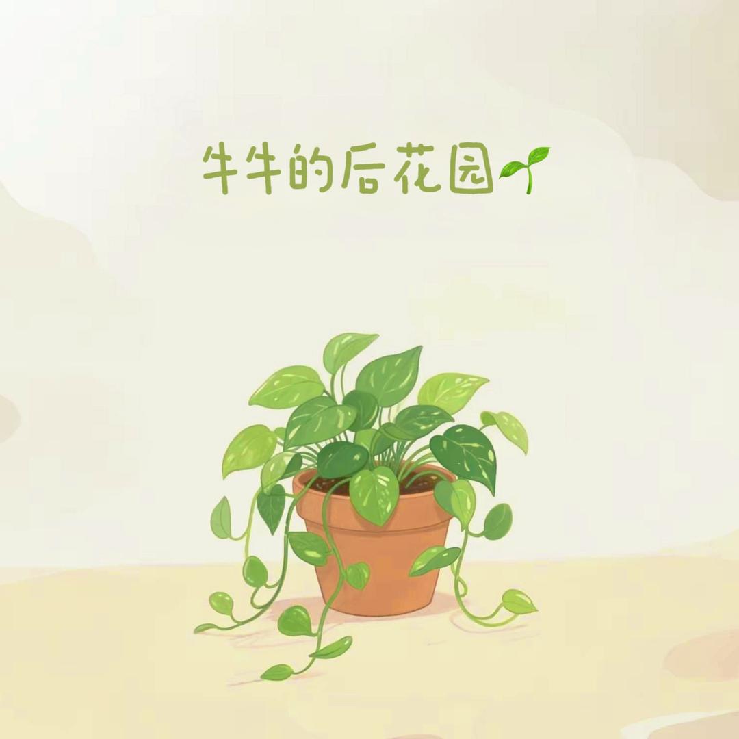 牛牛的后花园🌱