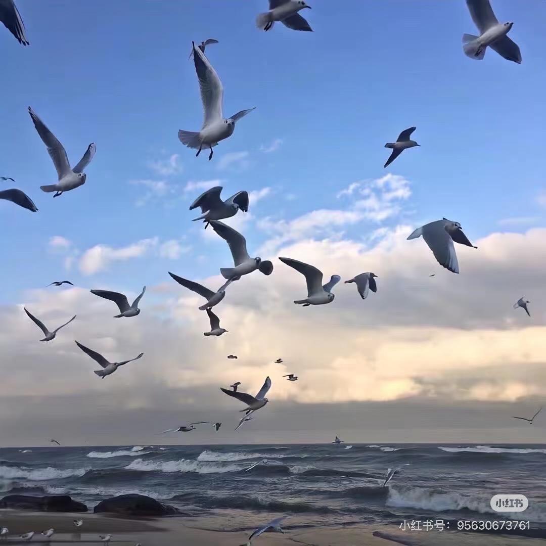 盖世汤圆