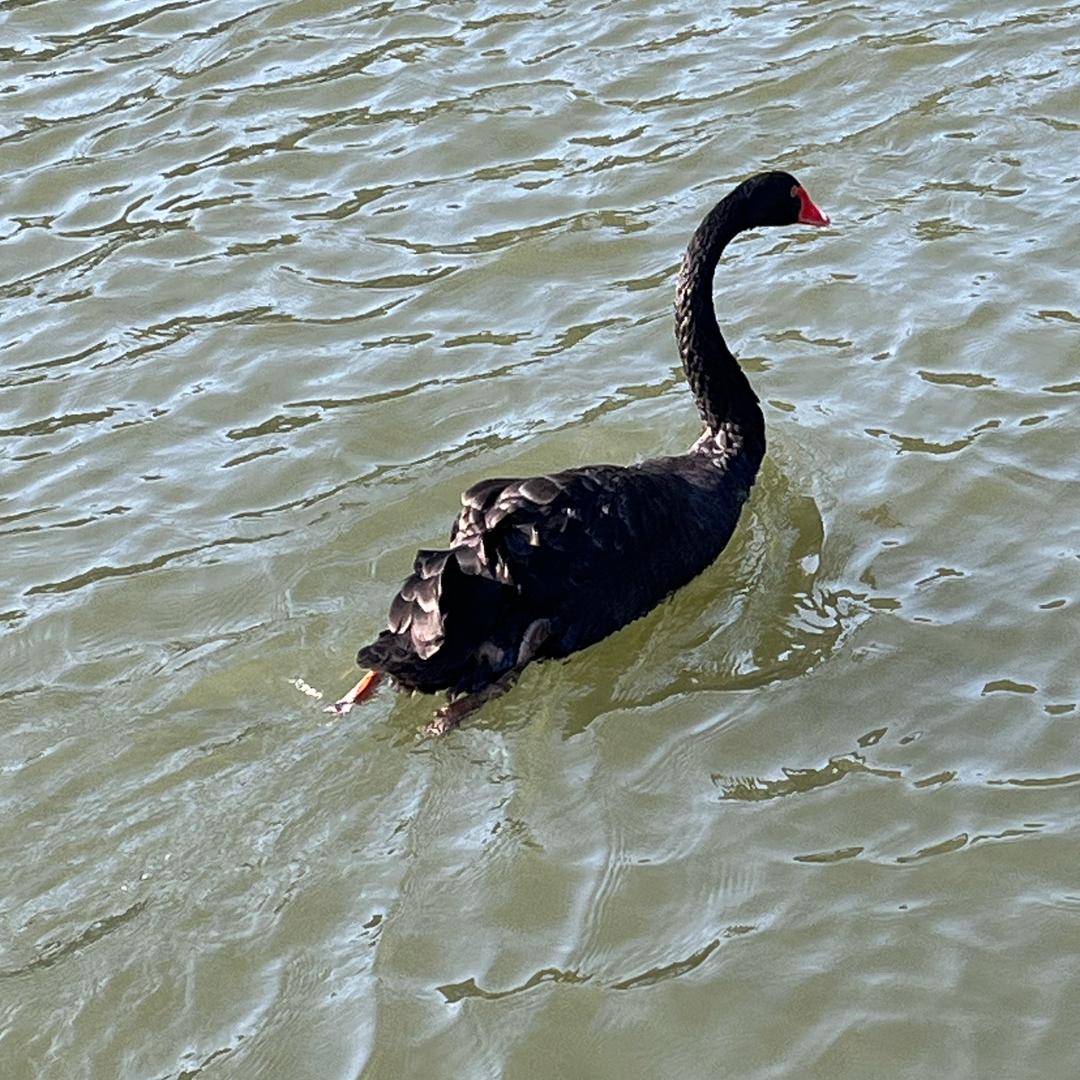 归零🧚🏻‍♀️