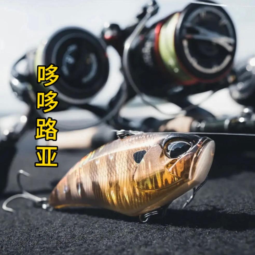 哆哆路亚（实战派）