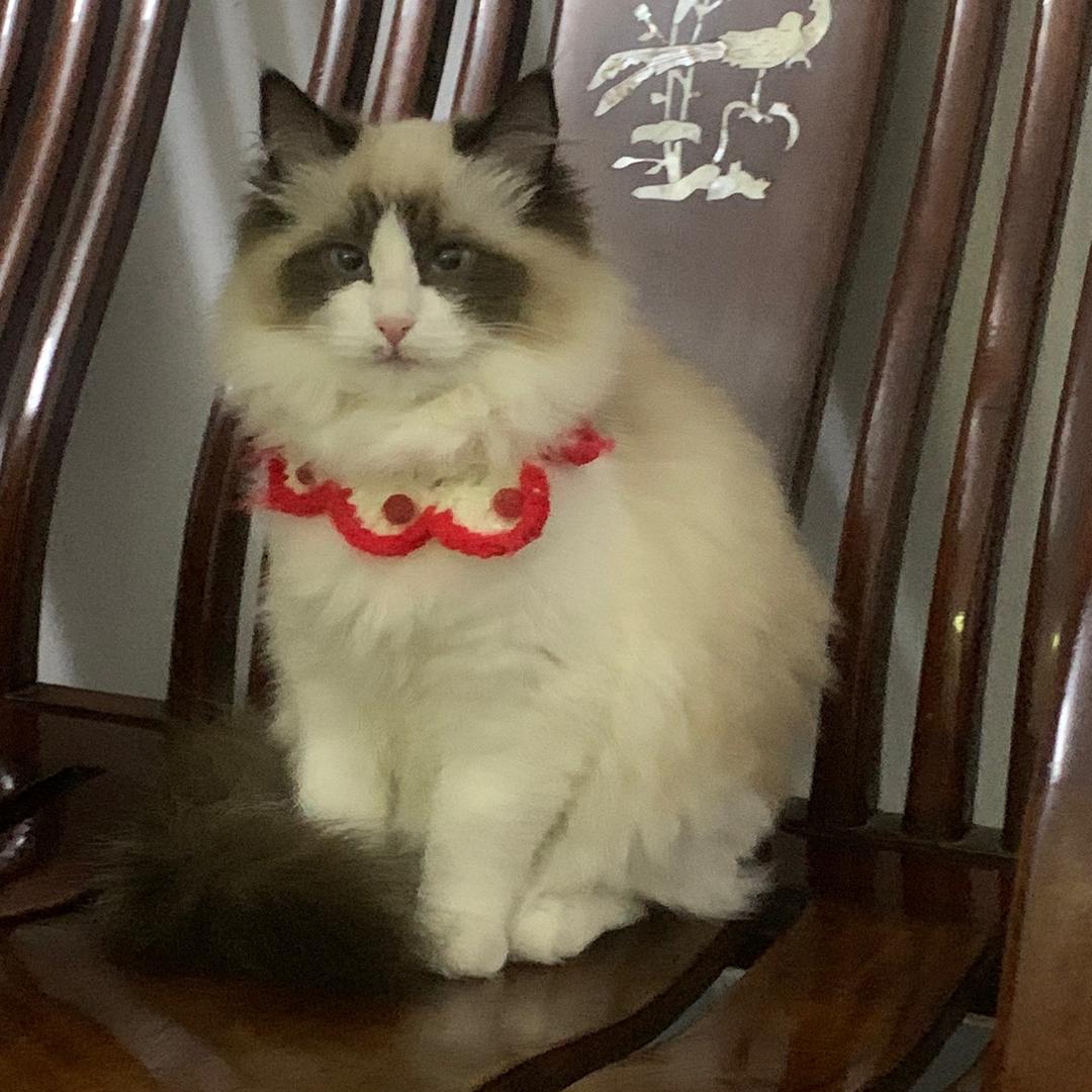 🍀🍀徐小妹🍀🍀