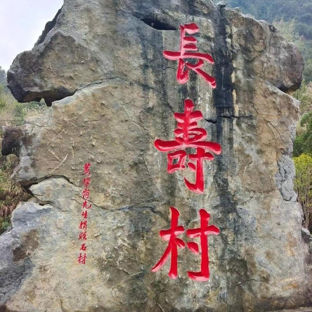 百岁人生