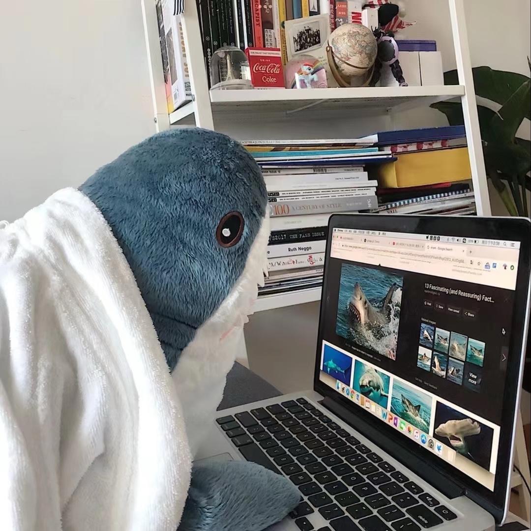 酷酷鲨鱼🦈
