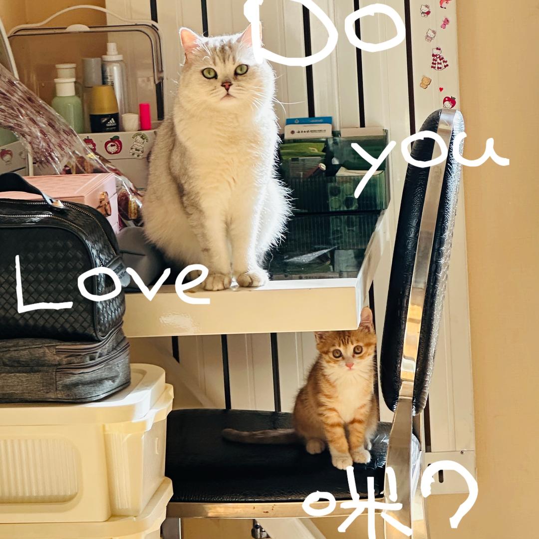 P哥与十五😻