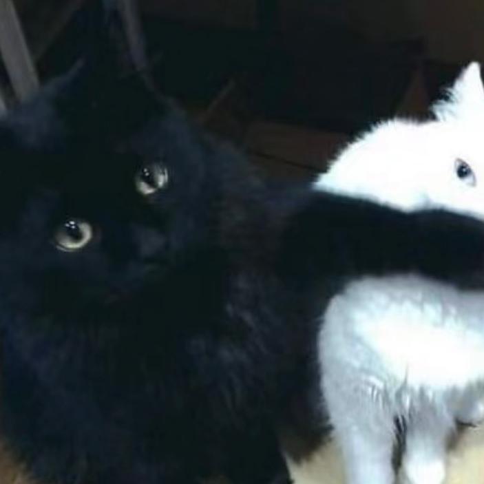 脖子里空气一点不给