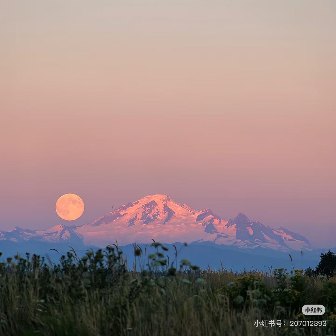 橙子🍊（减肥ing）