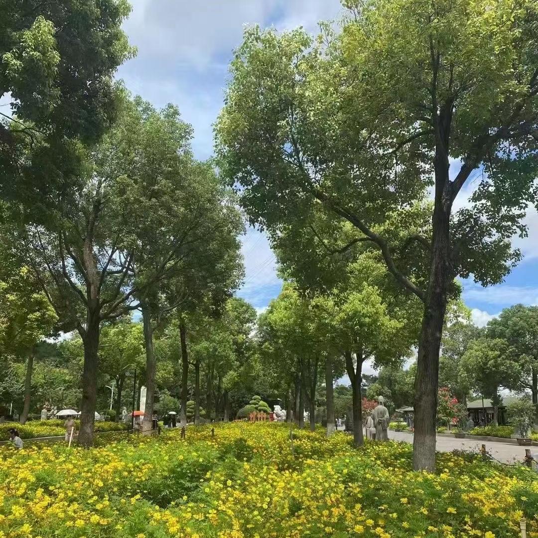 WRCxiaozhang666