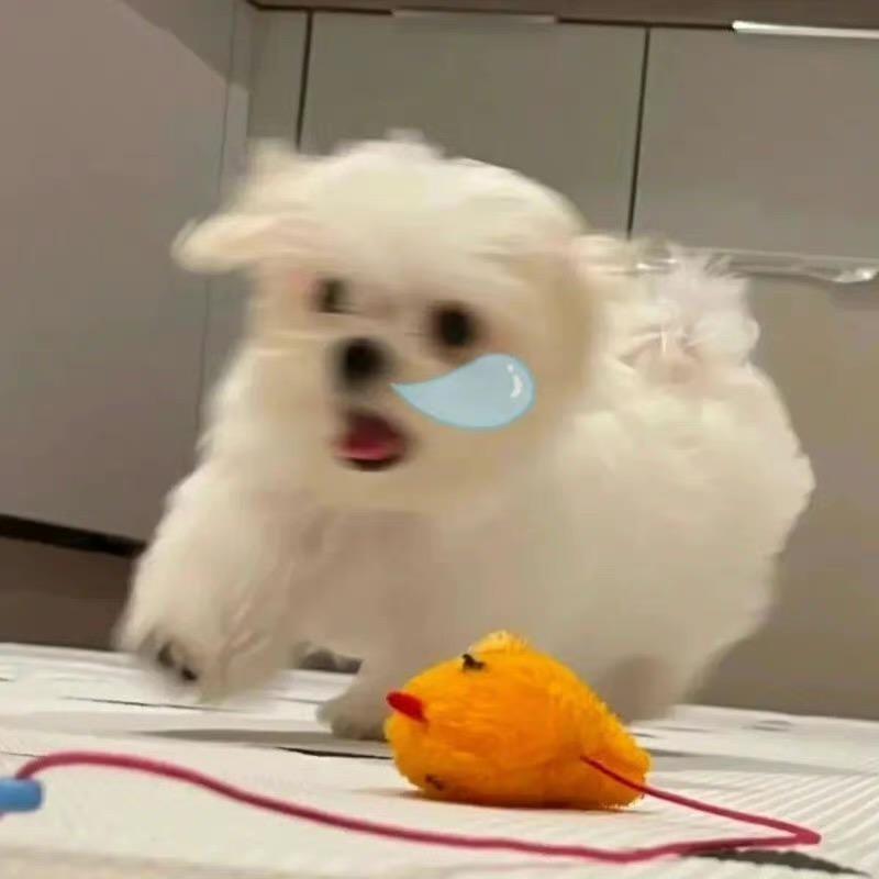 米粒小管家