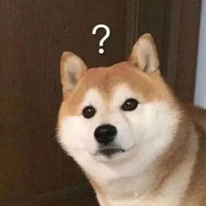 阿柴ddo
