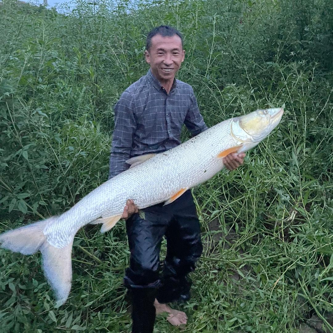 银娟渔具优选