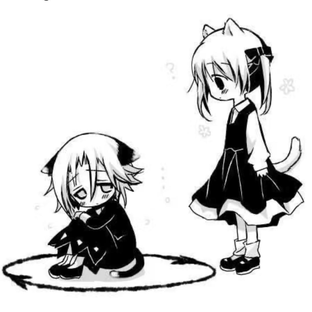 星点兔