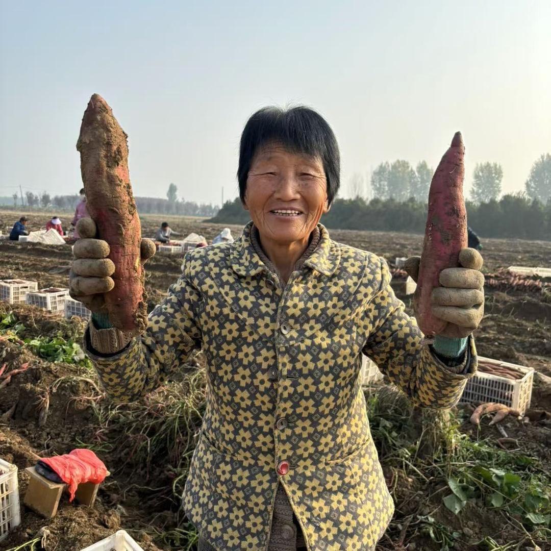 红薯小妹