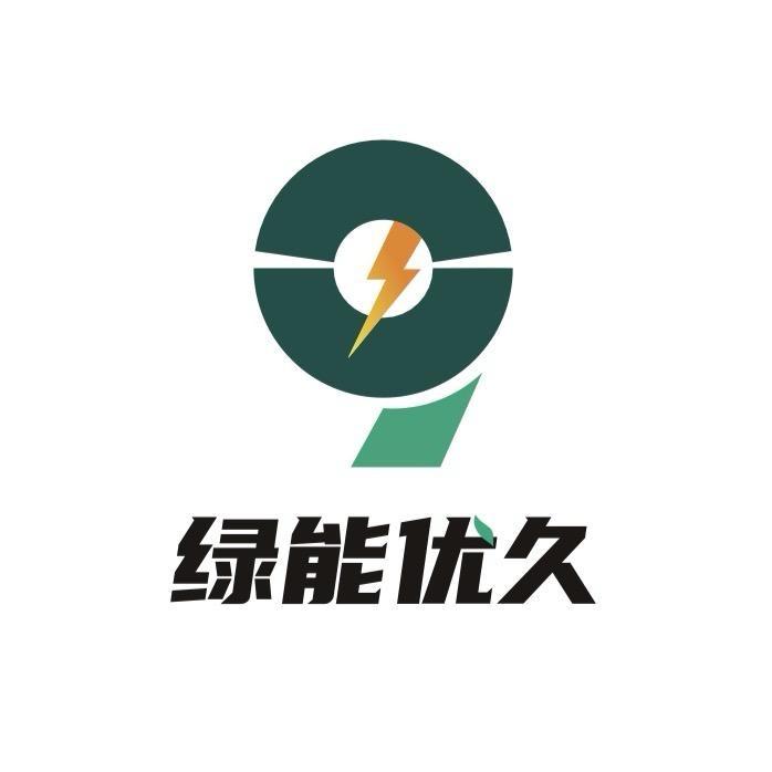 龙儿-新能源二手新·