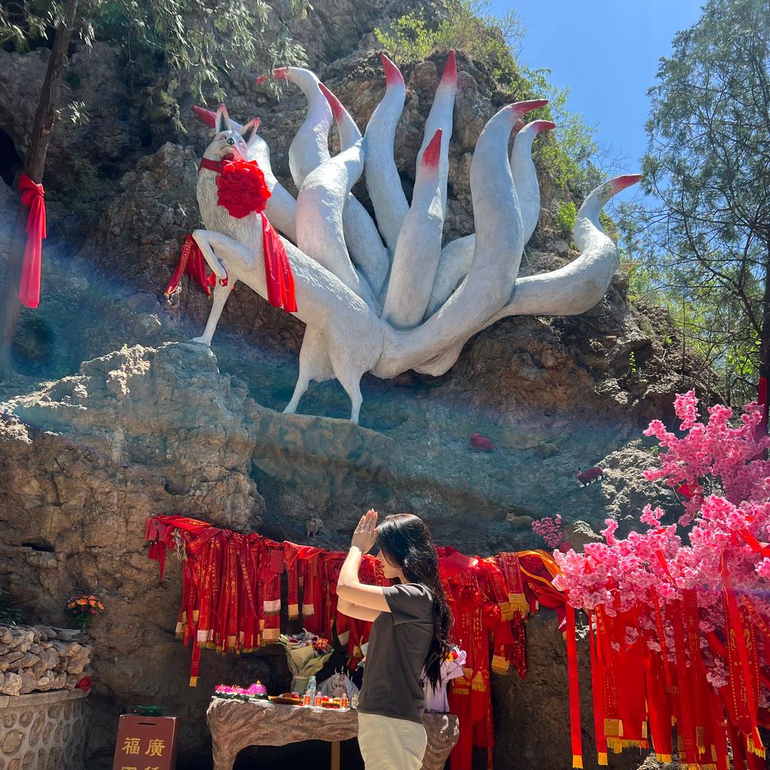 清允堂🪷