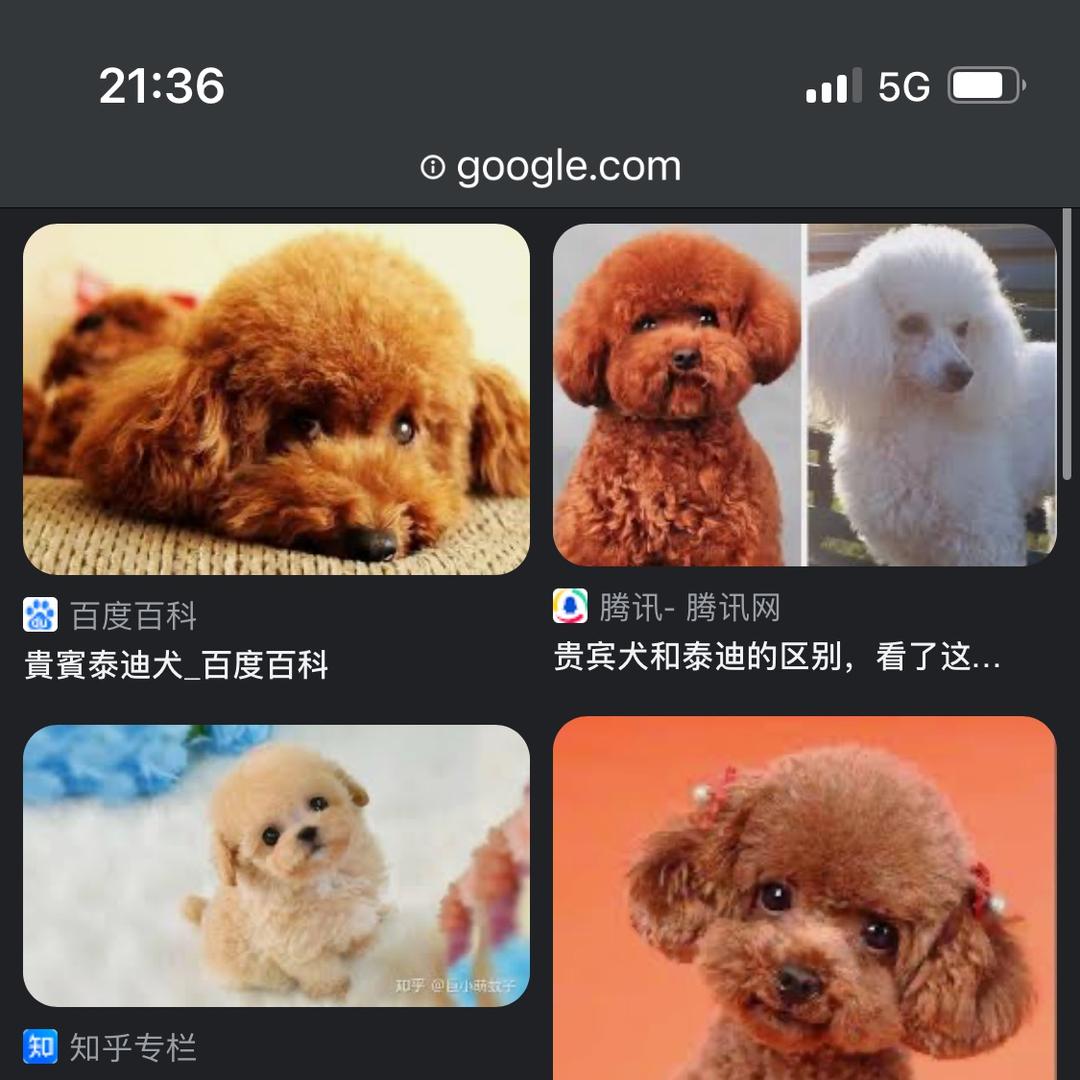 挖呀挖呀挖༄༅