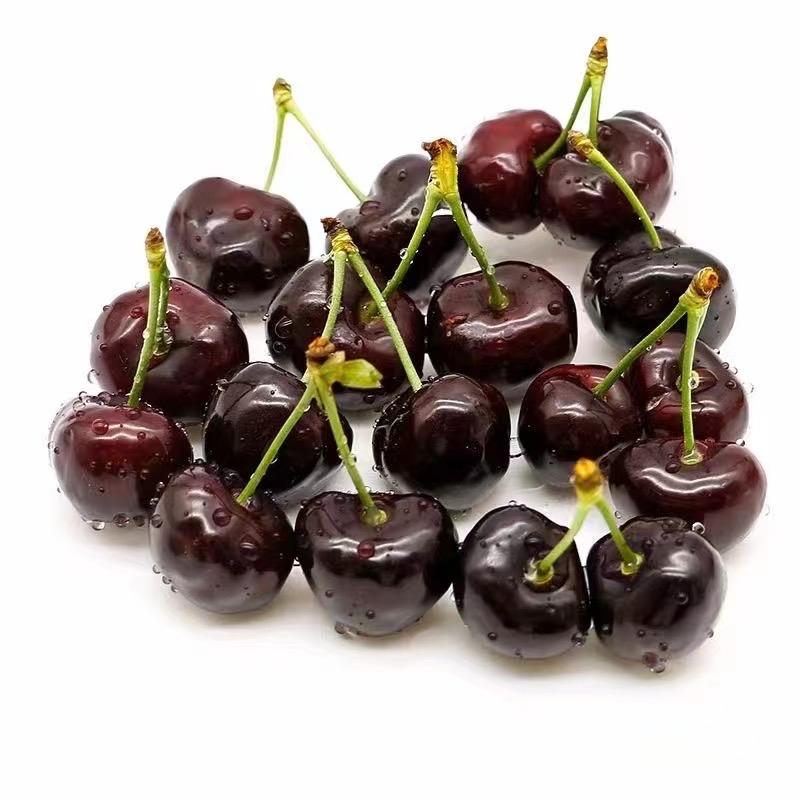 九襄车厘子采摘(收费站出口)！