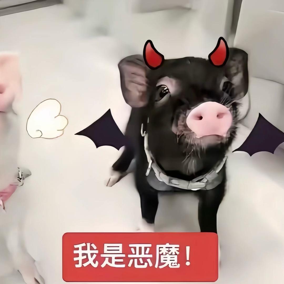 独行的猛虎