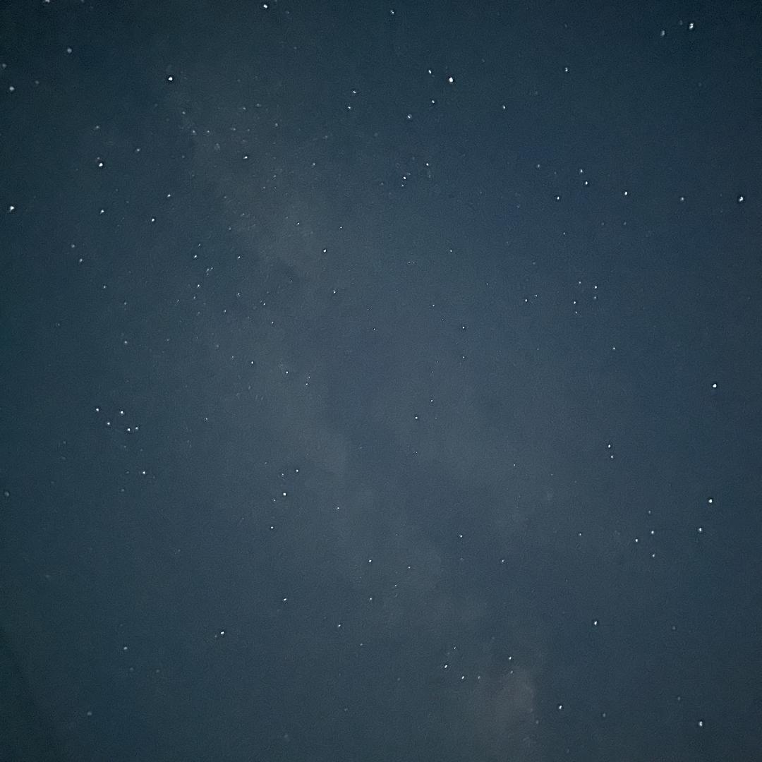 爱吃馒头