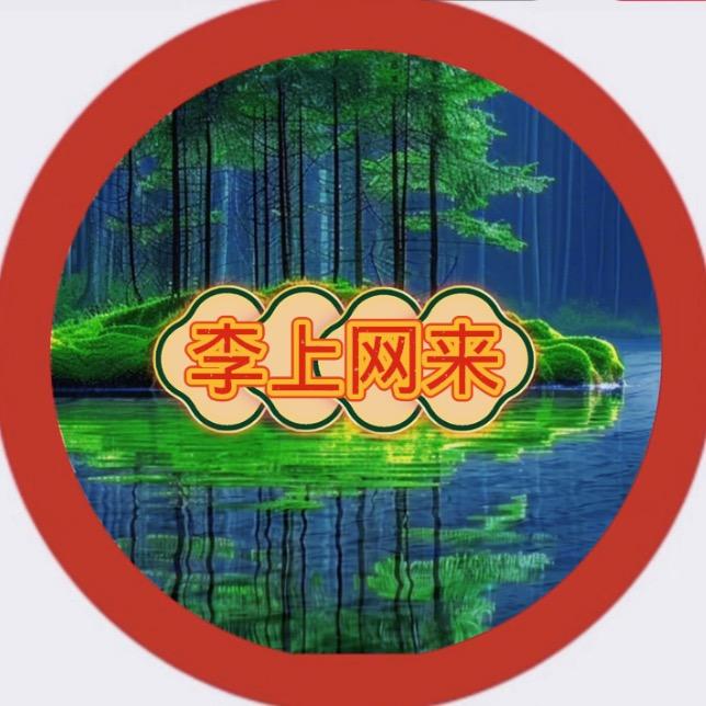 李上网来