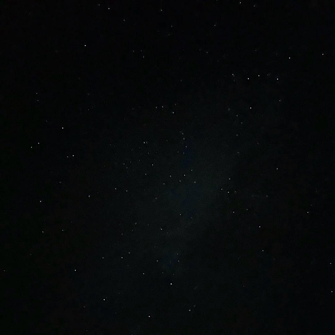 陈某