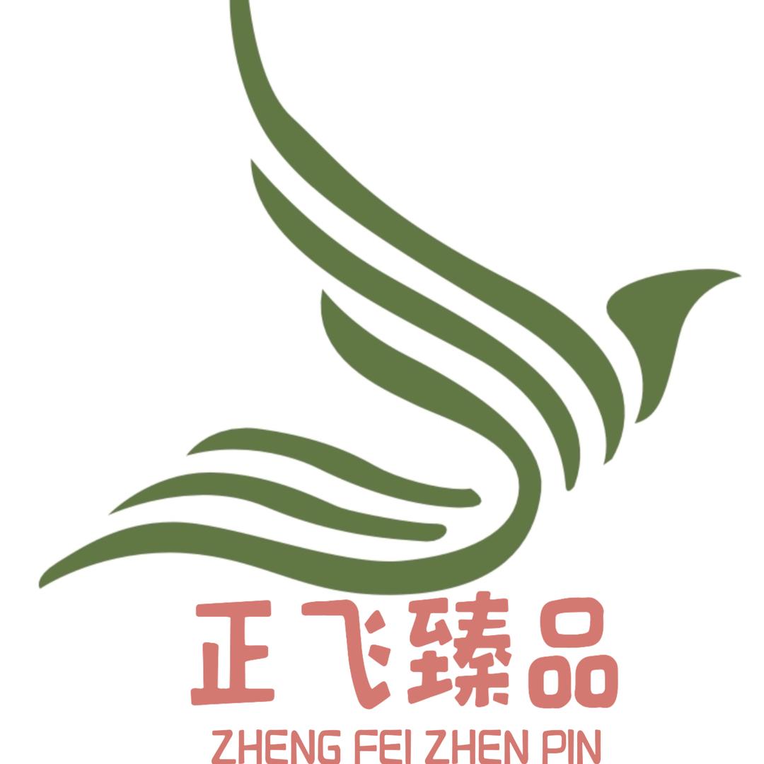 正飞臻品