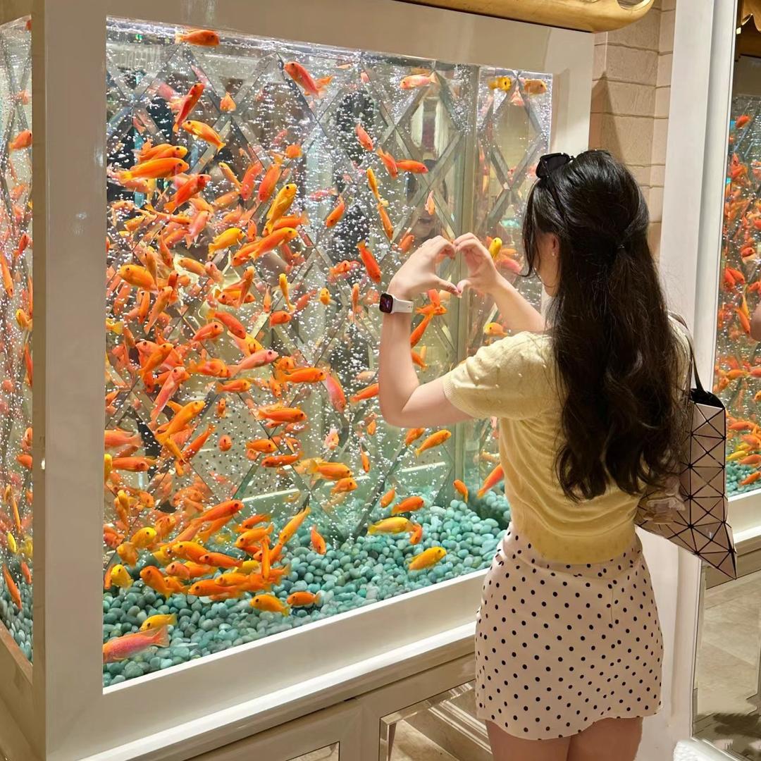 爱养🐟鱼的林美美